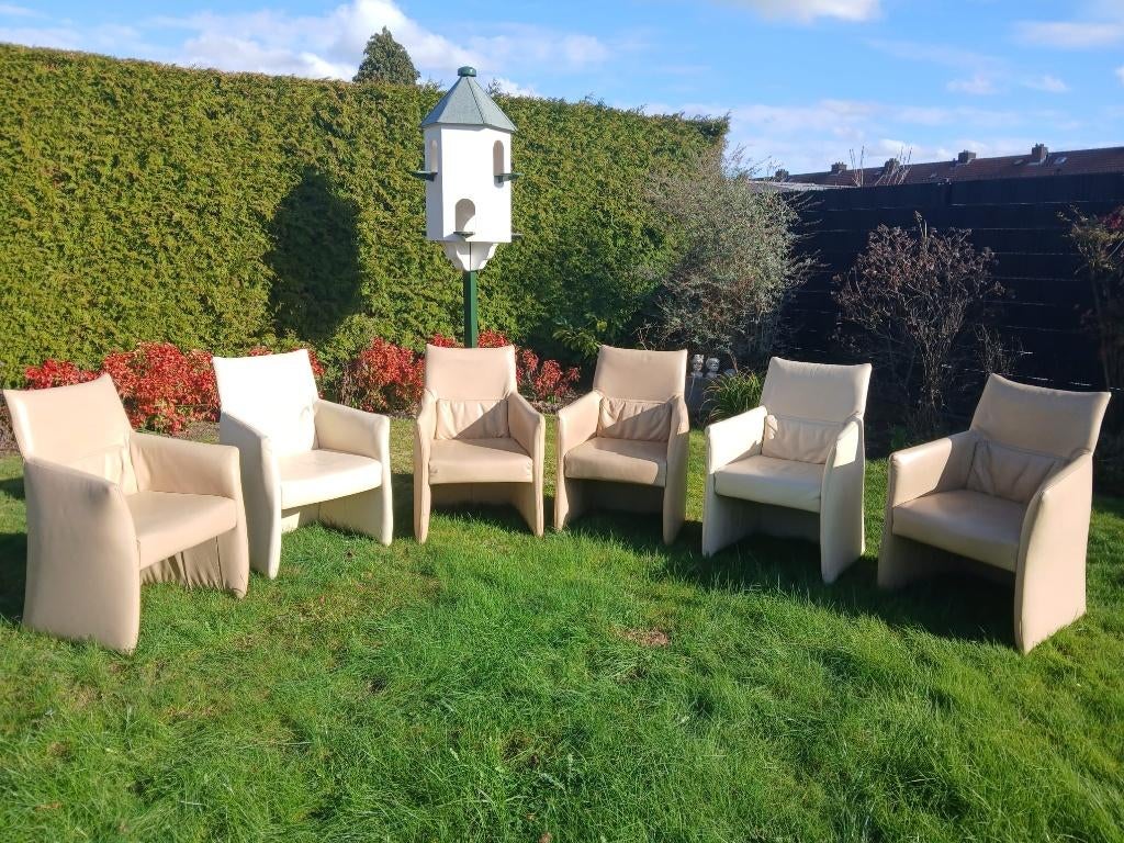 Eetkamerstoel, Ophalen, Gebruikt, Overige kleuren, Leer