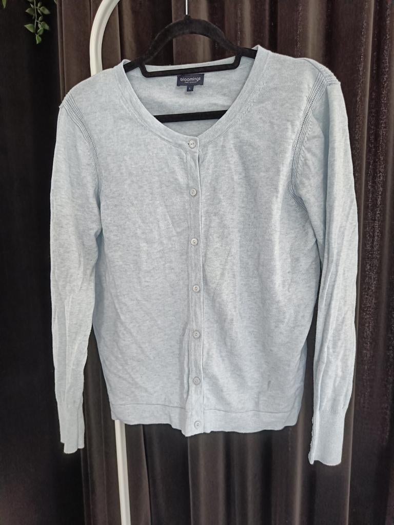 Bloomings Amsterdam vest maat L, Bloomings Amsterdam, Maat 42/44 (L), Zo goed als nieuw, Verzenden