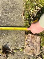 68x betonnen Agriplaten / Erfverhardingsplaten van 120x80 cm, Ophalen, Gebruikt, Overige typen, 10 m² of meer