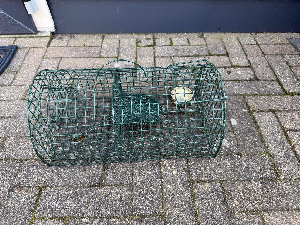 ratten val, Ophalen of Verzenden, Gebruikt, Ongediertebestrijding