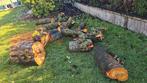 Gratis haardhout, stukken boomstam VERKOCHT/GERESERVEERD, Minder dan 3 m³, Ophalen, Overige houtsoorten, Blokken