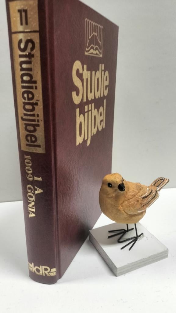 Studiebijbel; NT Deel 11 :  Woordst en Conc 1 A – 1009 gonia, Ophalen of Verzenden, Gelezen, Christendom | Protestants