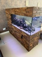Aquarium met eventueel malawi cichliden, Dieren en Toebehoren, Ophalen, Gebruikt, Gevuld zoetwateraquarium