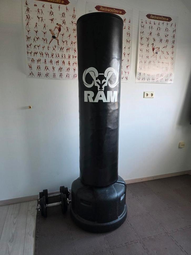 Professionele boksbal met handschoenen (12-oz), Sport en Fitness, Vechtsporten en Zelfverdediging, Gebruikt, Overige, Vechtsportbescherming