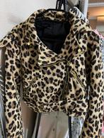 JAS/Zara maat S, Kleding | Dames, Ophalen of Verzenden, Zo goed als nieuw