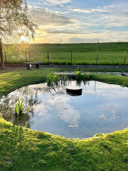 Vissen opvang, Tuin en Terras, Vijvers, Zo goed als nieuw, Ophalen of Verzenden
