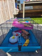 Hamsterkooi, Dieren en Toebehoren, Ophalen of Verzenden, Kooi, Hamster, Minder dan 60 cm