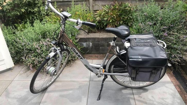 Giant Twist Go Double, Fietsen en Brommers, Elektrische fietsen, Gebruikt, Overige merken, Ophalen