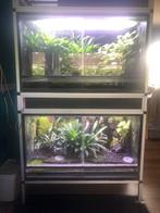 Terrarium, Dieren en Toebehoren, Reptielen en Amfibieën | Toebehoren, Ophalen, Zo goed als nieuw, Terrarium of Paludarium