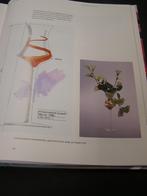 Oranjevaasje Leerdam Juliana Copier Meydam Marel, Antiek en Kunst, Antiek | Glas en Kristal, Ophalen of Verzenden