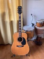 Ibanez western gitaar, Ophalen of Verzenden, Gebruikt, Western- of Steelstringgitaar
