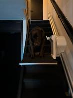 Hondenlift, Ophalen of Verzenden