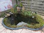 Vijver met aankleding en alle toebehoren, Tuin en Terras, Vijvers, Ophalen of Verzenden, Gebruikt