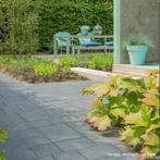 Terras+ Wildverband Tegels, Ophalen, Nieuw, 10 m² of meer, Beton