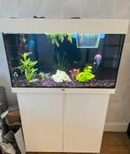 Juwel Aquarium te koop 125L incl toebehoren, Ophalen, Gebruikt, Leeg aquarium