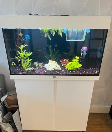 Juwel Aquarium te koop 125L incl toebehoren beschikbaar voor biedingen