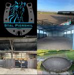 Stal vrij per 1 augustus, Dieren en Toebehoren, Stalling en Weidegang, Weidegang, 1 paard of pony