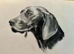 Houtskool en potlood tekening van een hond, Ophalen of Verzenden