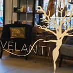 Velanti Expierence stoelverhuur haarstylisten