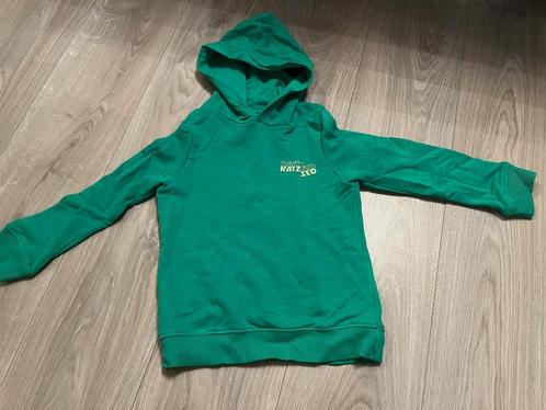 Raizzed Groene Trui, Maat 116, Kinderen en Baby's, Kinderkleding | Maat 116, Zo goed als nieuw, Jongen, Trui of Vest, Ophalen of Verzenden