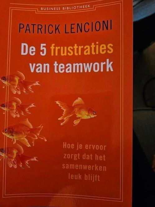 NIEUW patrick Lencioni - De 5 frustraties van teamwork, Boeken, Wetenschap, Nieuw, Ophalen of Verzenden