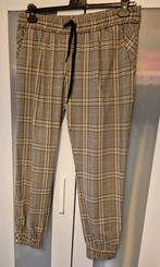 Broek van Summum, Ophalen of Verzenden