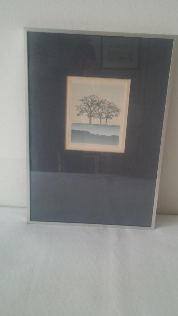 Mooi ingelijste, decoratieve ets van Bob Sanders., Antiek en Kunst, Kunst | Etsen en Gravures, Ophalen