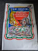 Circus Toni Boltini Poster - Hongaars Staatscircus Boedapest, Verzenden, A1 t/m A3, Dier of Natuur, Rechthoekig Staand