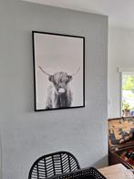Schilderij lijst Schotse hooglander Piet Klerkx Coco Maison, Ophalen, Zo goed als nieuw, Schilderij, 75 tot 100 cm