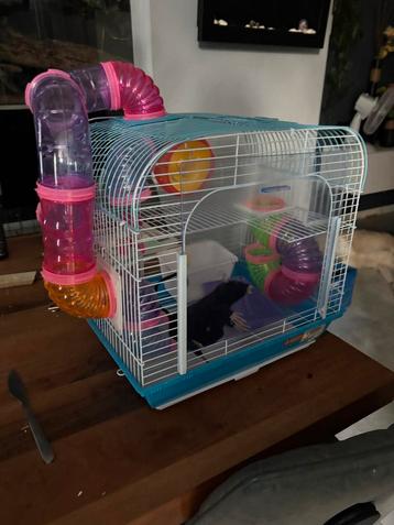 Hamsterkooi nieuw beschikbaar voor biedingen