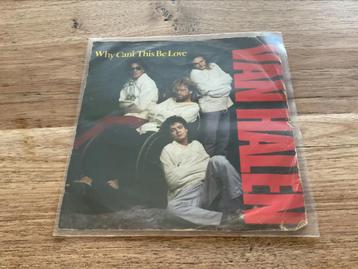 Van Halen, Why can’t this be love beschikbaar voor biedingen