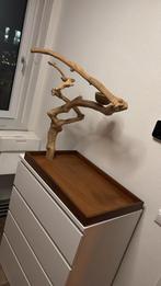 Nieuwe javaboom, Dieren en Toebehoren, Meerdere dieren, Parkiet