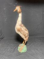 Mooie Fuut, Ophalen of Verzenden, Zo goed als nieuw, Paard, Beeldje of Figuurtje