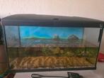 80 liter aquarium, Dieren en Toebehoren, Ophalen of Verzenden