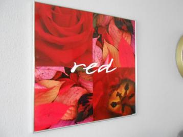 te koop schilderij red  beschikbaar voor biedingen