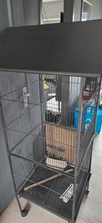 Vogelkooi, Dieren en Toebehoren, Ophalen, Gebruikt, Metaal, Vogelkooi