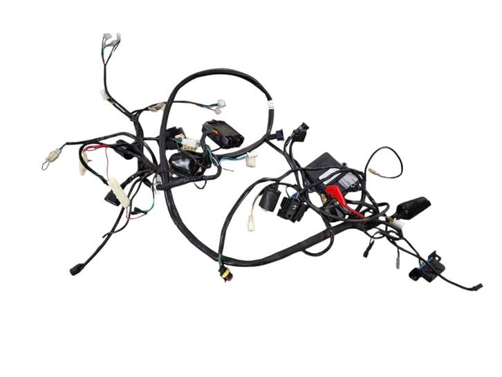Kabelboom spanningsregelaar ecu origineel La Souris City, Fietsen en Brommers, Brommeronderdelen | Scooters, Gebruikt, Ophalen of Verzenden