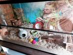 Schuifruit Terrarium voor Muizen – Glazen Kooi 100x40x50 cm, Dieren en Toebehoren, Minder dan 60 cm, Kooi, Nieuw, Ophalen of Verzenden
