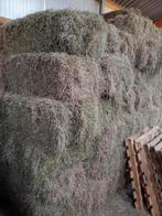 Te koop Kleine Hooibalen Fijne structuur, Ophalen, Vee