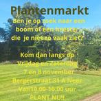 Diverse Bomen en Heesters - Ruime Keuze!, Tuin en Terras, Planten | Bomen, Ophalen