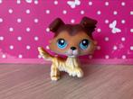Littlest pet shop 58 sage collie lps petshop rare zeldzaam, Ophalen of Verzenden, Gebruikt
