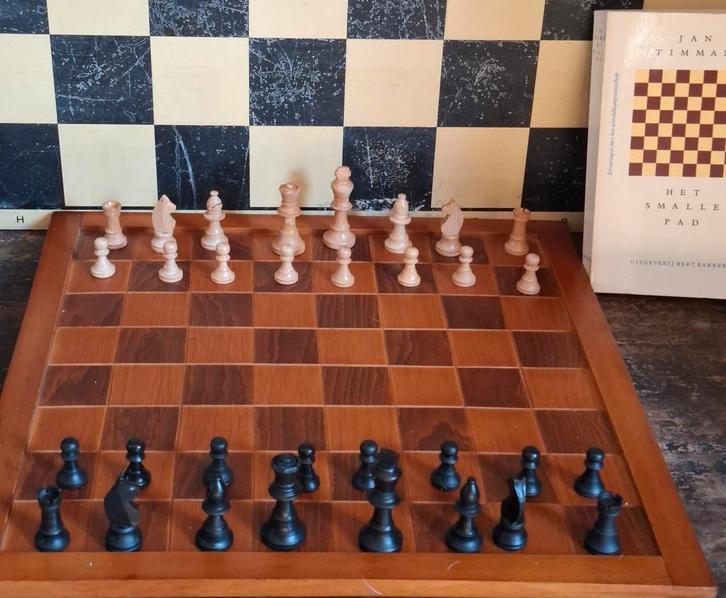 Schaakspel & Schaakboek., Hobby en Vrije tijd, Gezelschapsspellen | Bordspellen, Zo goed als nieuw, Een of twee spelers, Ophalen