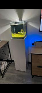 Leeg Nano Cube, 20Liter Dennerle, Aquarium met Toebehoren, Ophalen, Gebruikt, Leeg aquarium