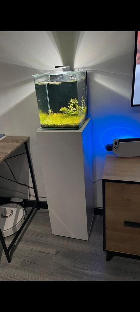Leeg Nano Cube, 20Liter Dennerle, Aquarium met Toebehoren, Dieren en Toebehoren, Vissen | Aquaria en Toebehoren, Gebruikt, Leeg aquarium