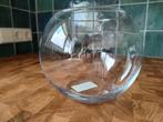 Rond transparant terrarium - aquarium - vaas, Minder dan 50 cm, Glas, Zo goed als nieuw, Ophalen