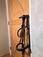 Stang en trens hoofdstel Passier Blue Dream Full, Dieren en Toebehoren, Ophalen of Verzenden, Nieuw, Dressuur