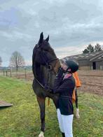 Aangeboden zadelmakmaakster, Vacatures, Geen rijbewijs, 33 - 40 uur, Overige vormen