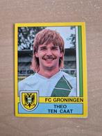 Panini Voetbal 90 Theo ten Caat FC Groningen, Ophalen of Verzenden, Zo goed als nieuw, Overige binnenlandse clubs, Poster, Plaatje of Sticker