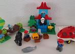 Duplo wereld dieren set met panda en vliegtuig, Ophalen of Verzenden, Zo goed als nieuw, Duplo