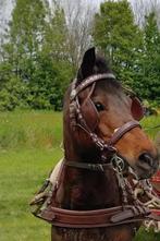 mentuig ideal pony bruin, Dieren en Toebehoren, Paarden en Pony's | Hoofdstellen en Tuigage, Ophalen of Verzenden, Gebruikt, Overige soorten